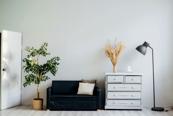 The Power of Indoor Plants: Transform Your Home with Greenery